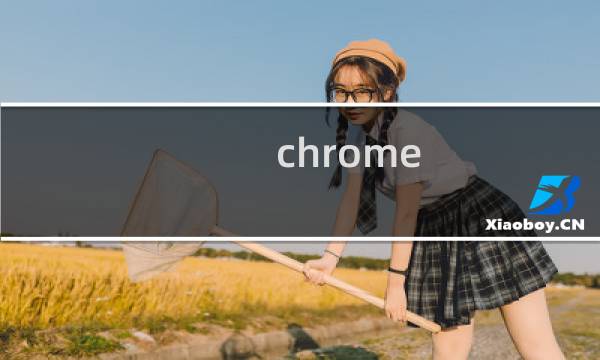 chrome 比较