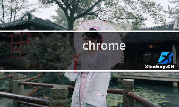 chrome 浏览器模式