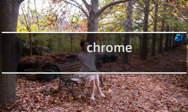 chrome 的优势