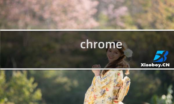 chrome 调试模式