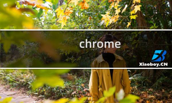 chrome canary 最新