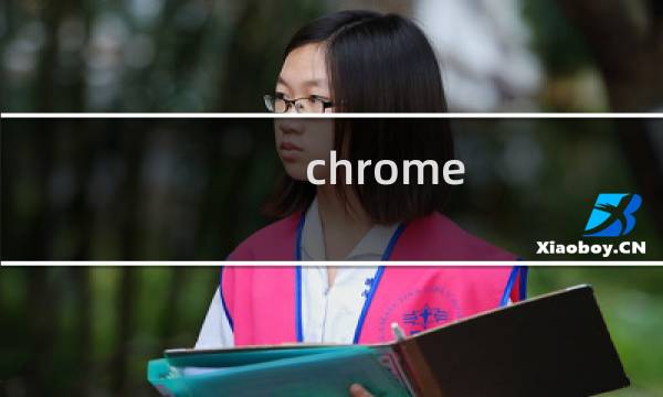 chrome flags 功能