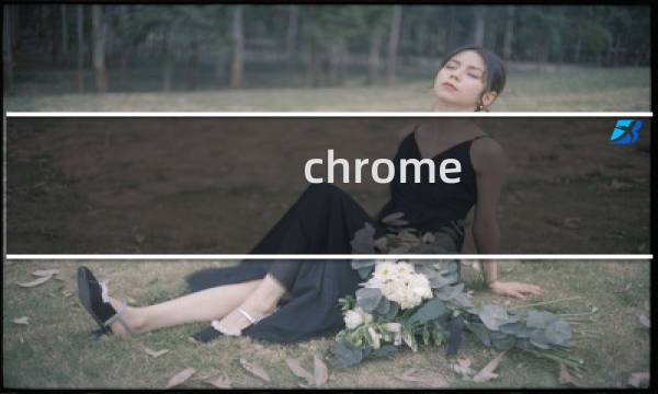 chrome fq教程