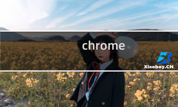 chrome hostadmin 原理
