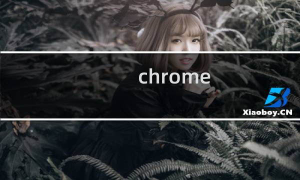 chrome network分析