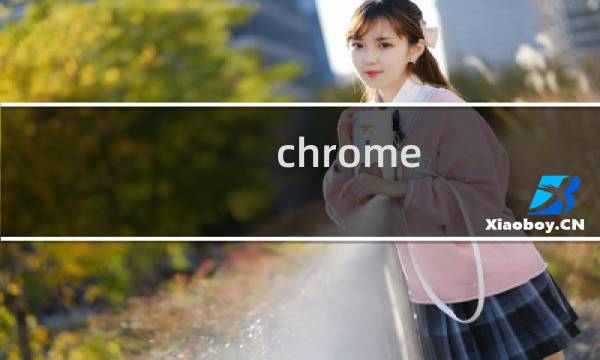chrome socks 代理服务器