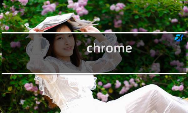 chrome xp最后版本