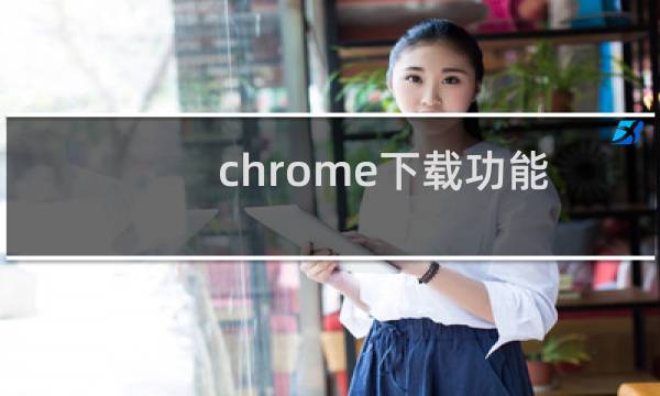 chrome下载功能