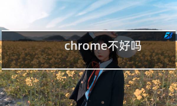 chrome不好吗