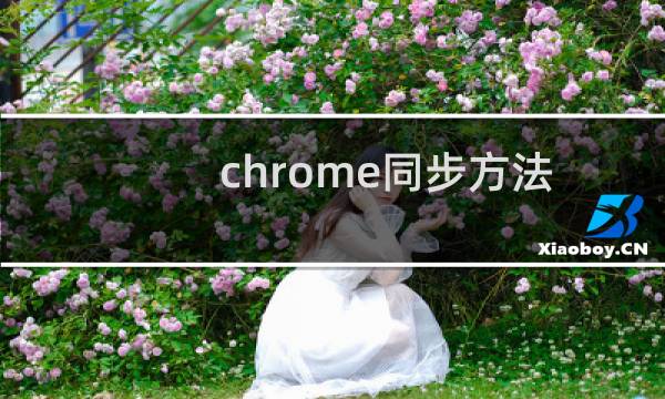 chrome同步方法