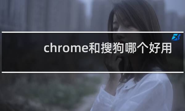 chrome和搜狗哪个好用