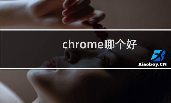 chrome哪个好