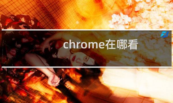 chrome在哪看