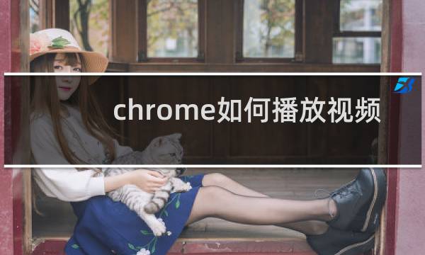 chrome如何播放视频