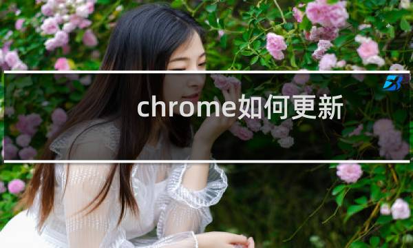 chrome如何更新