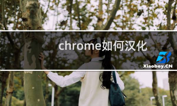 chrome如何汉化