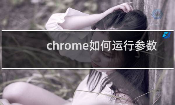 chrome如何运行参数