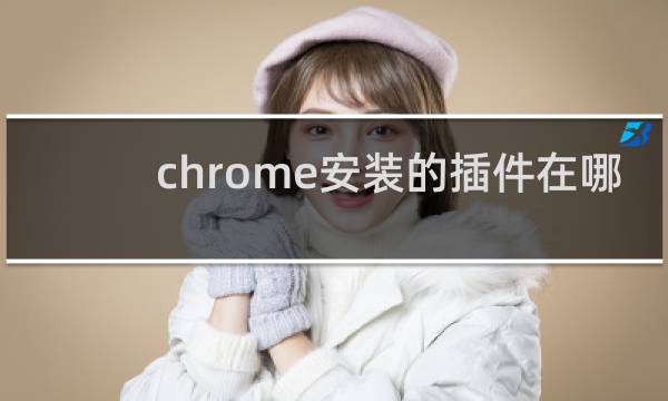 chrome安装的插件在哪