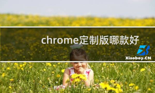 chrome定制版哪款好