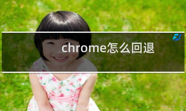 chrome怎么回退