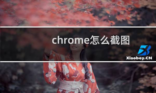 chrome怎么截图