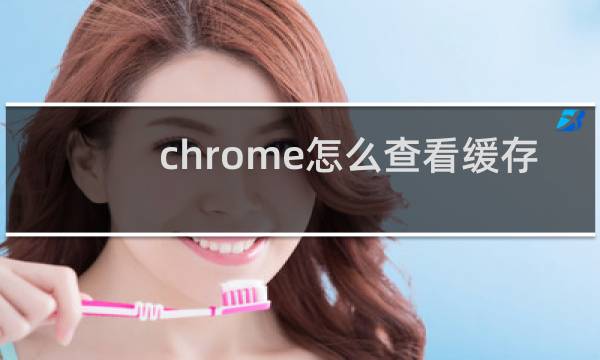 chrome怎么查看缓存