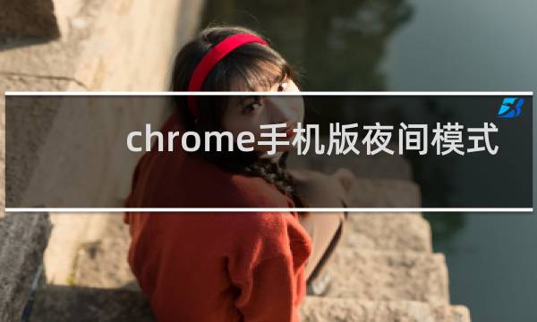 chrome手机版夜间模式