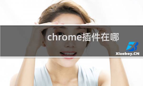chrome插件在哪