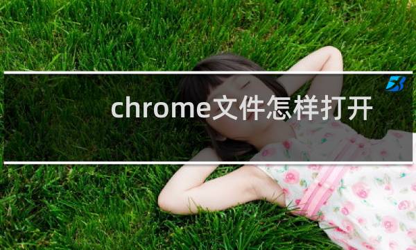chrome文件怎样打开