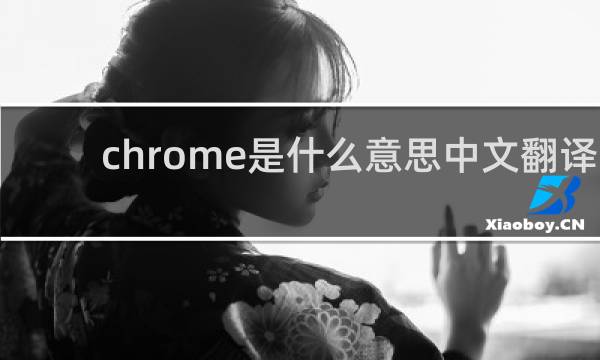 chrome是什么意思中文翻译