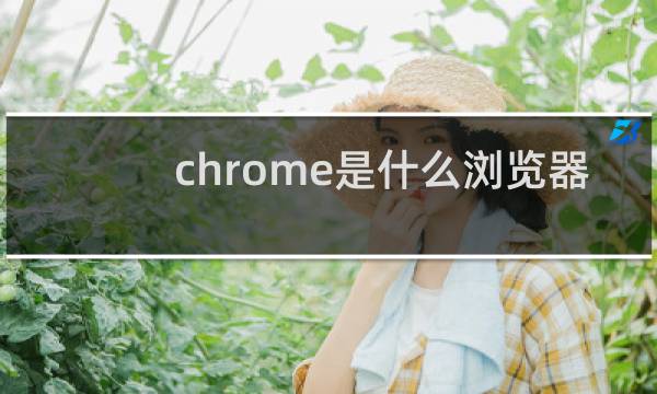 chrome是什么浏览器