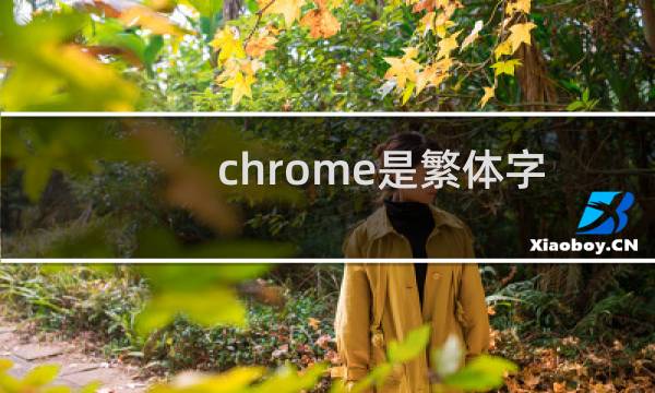 chrome是繁体字