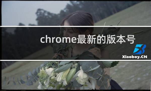 chrome最新的版本号