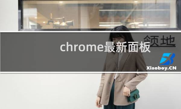 chrome最新面板