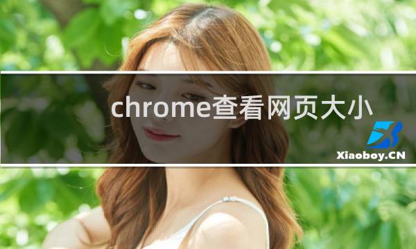 chrome查看网页大小