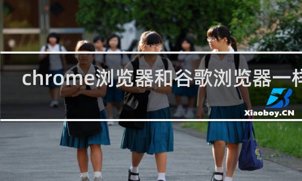 chrome浏览器和谷歌浏览器一样吗