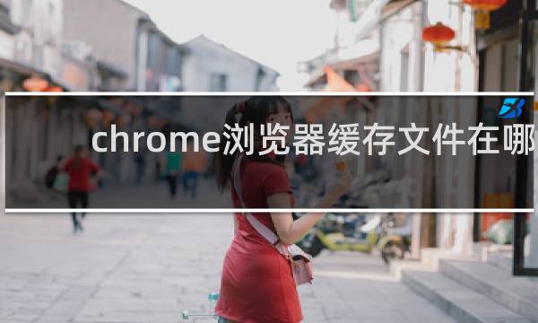 chrome浏览器缓存文件在哪