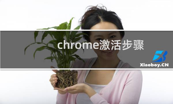 chrome激活步骤