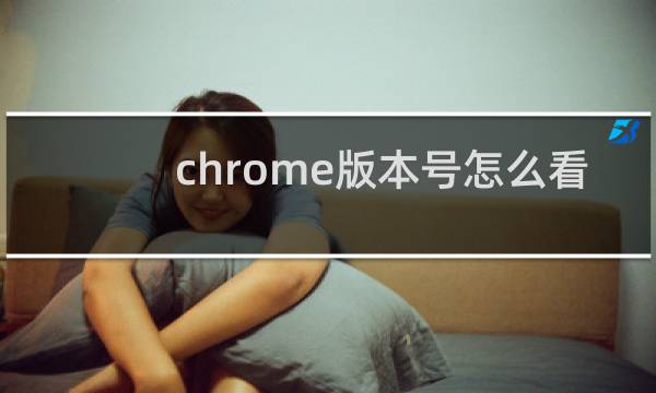 chrome版本号怎么看