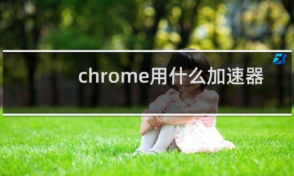 chrome用什么加速器