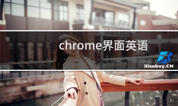 chrome界面英语