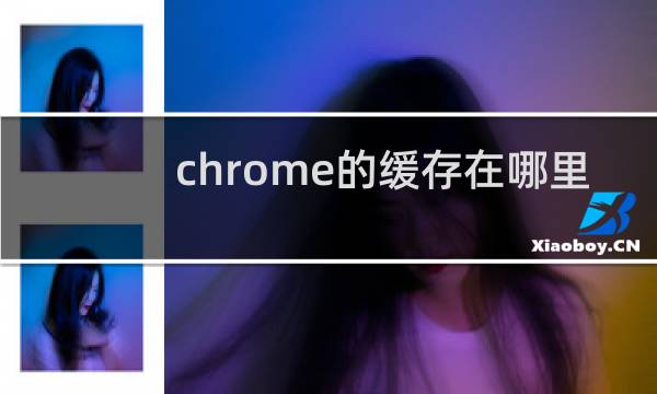 chrome的缓存在哪里