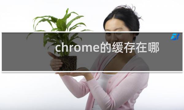chrome的缓存在哪