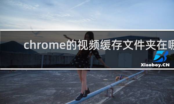 chrome的视频缓存文件夹在哪