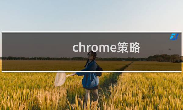 chrome策略