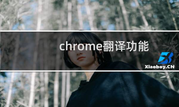 chrome翻译功能