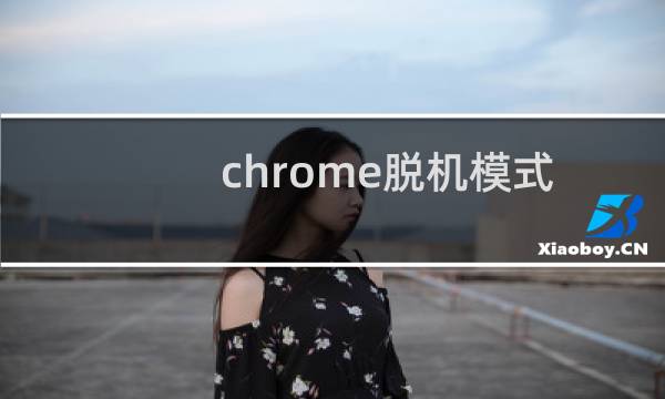 chrome脱机模式