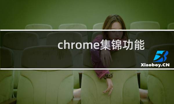 chrome集锦功能