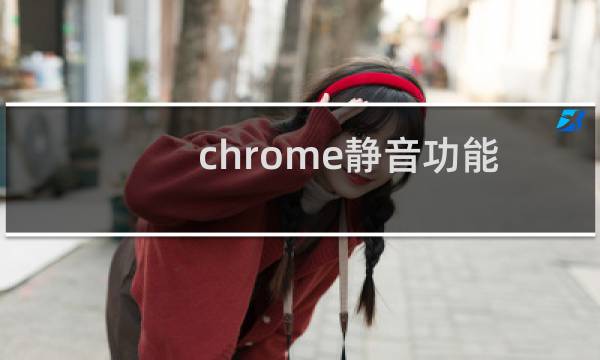 chrome静音功能