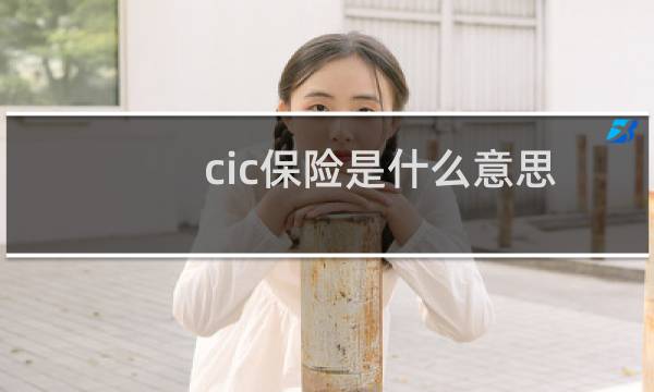 cic保险是什么意思
